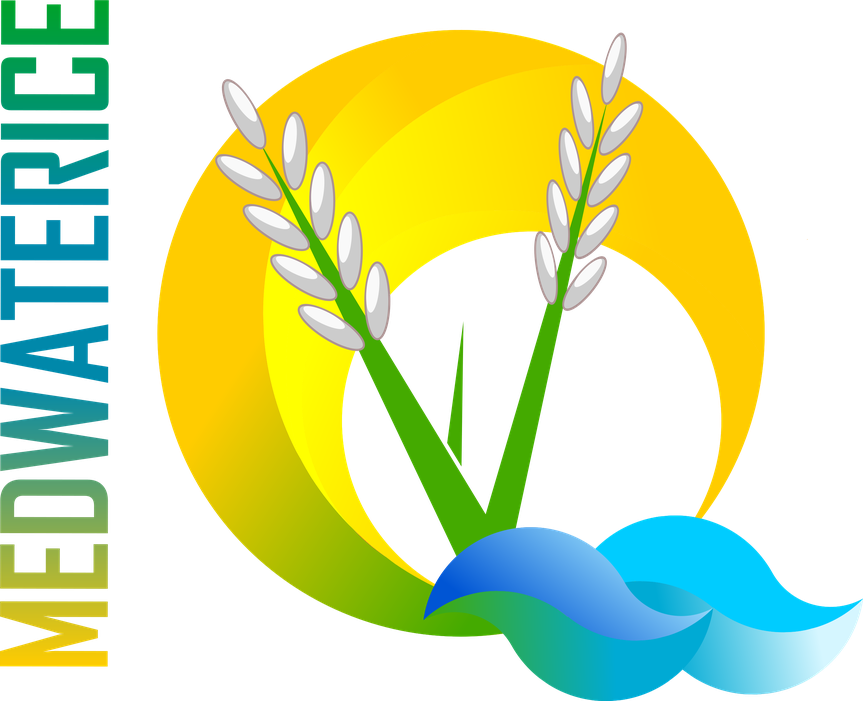 MEDWATERICE - Towards a sustainable water use in Mediterranean rice-based agro-ecosystems